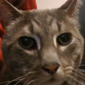 Fundraising Page: Sandy Eyl